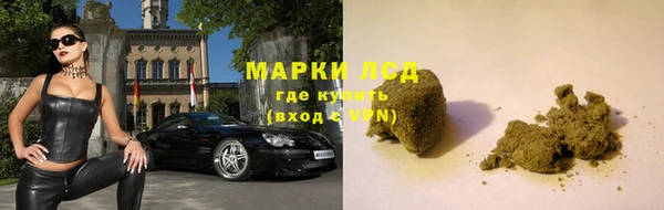 крисы Вяземский