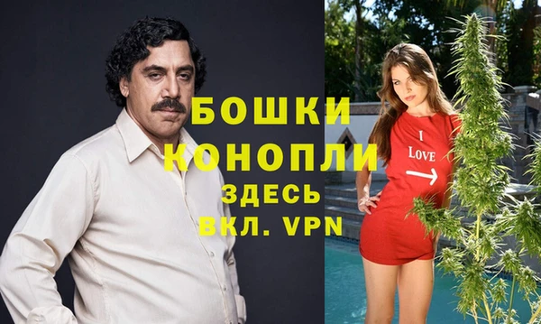 стаф Покров