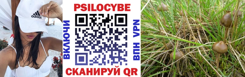 Псилоцибиновые грибы Psilocybine cubensis  Кремёнки 