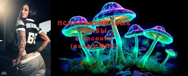 Галлюциногенные грибы Cubensis Кремёнки